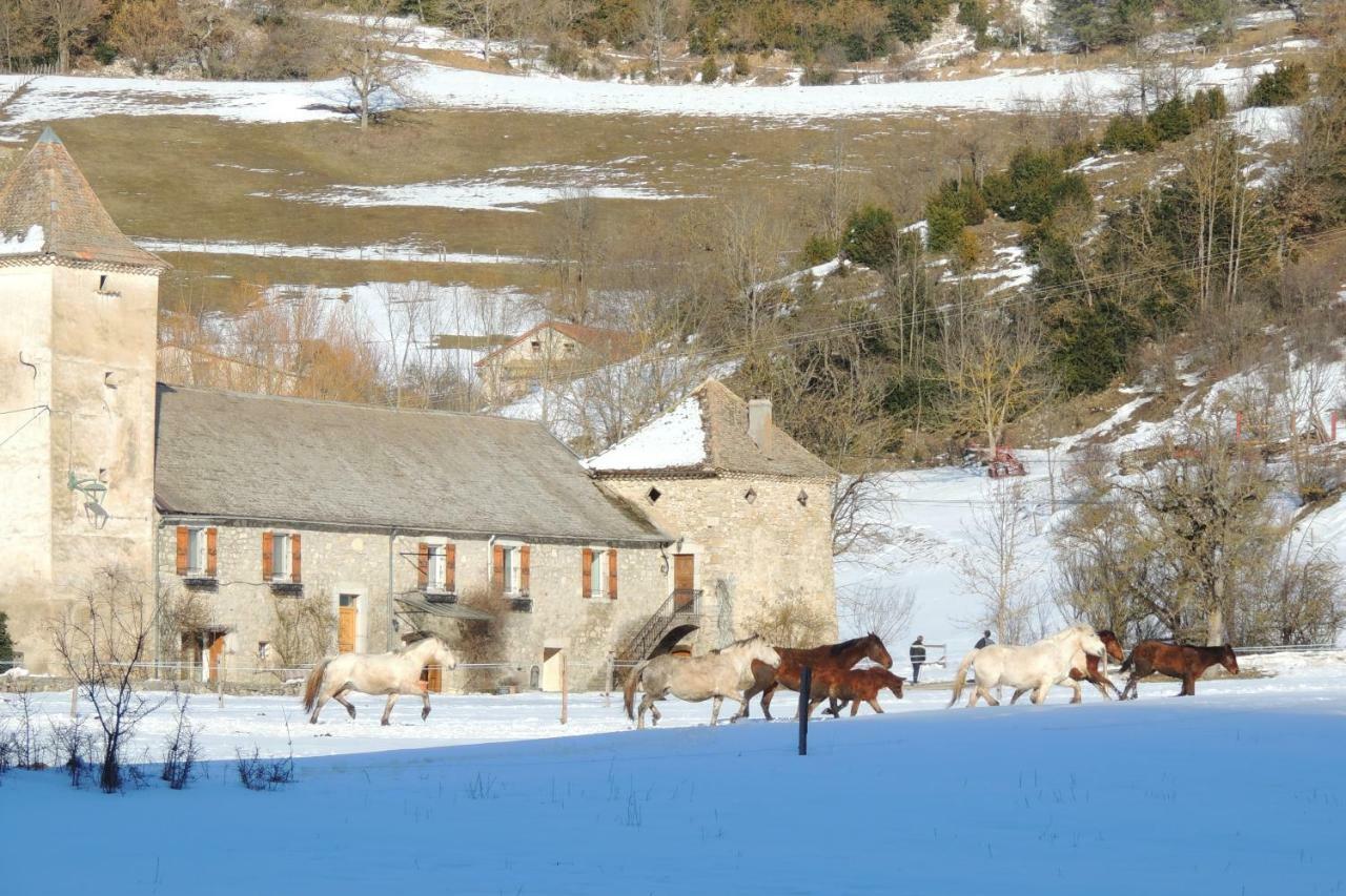 Le Colombier Bed and Breakfast Glandage Esterno foto
